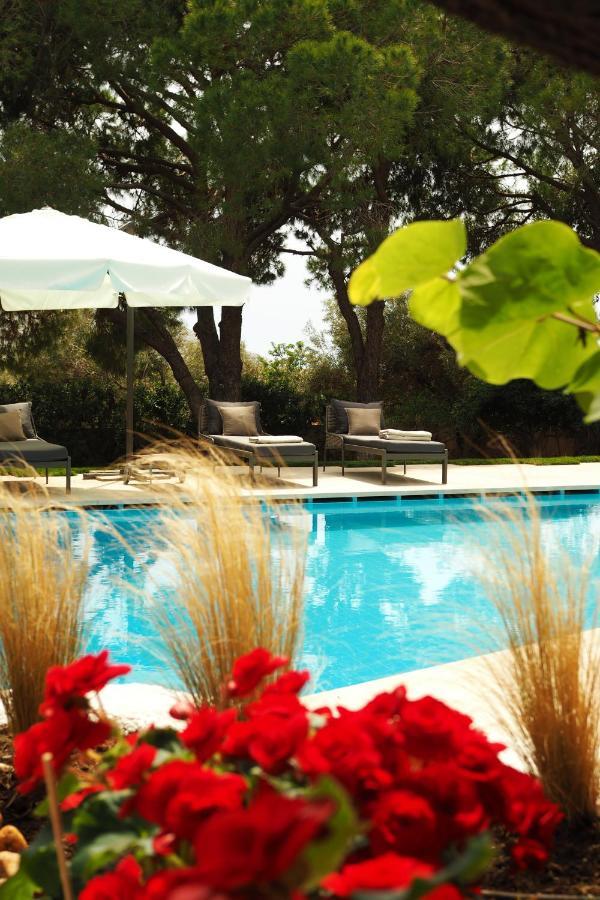 Villa Oasis With Large Pool Athenian Riviera Lagonissi Lagonísi Eksteriør bilde