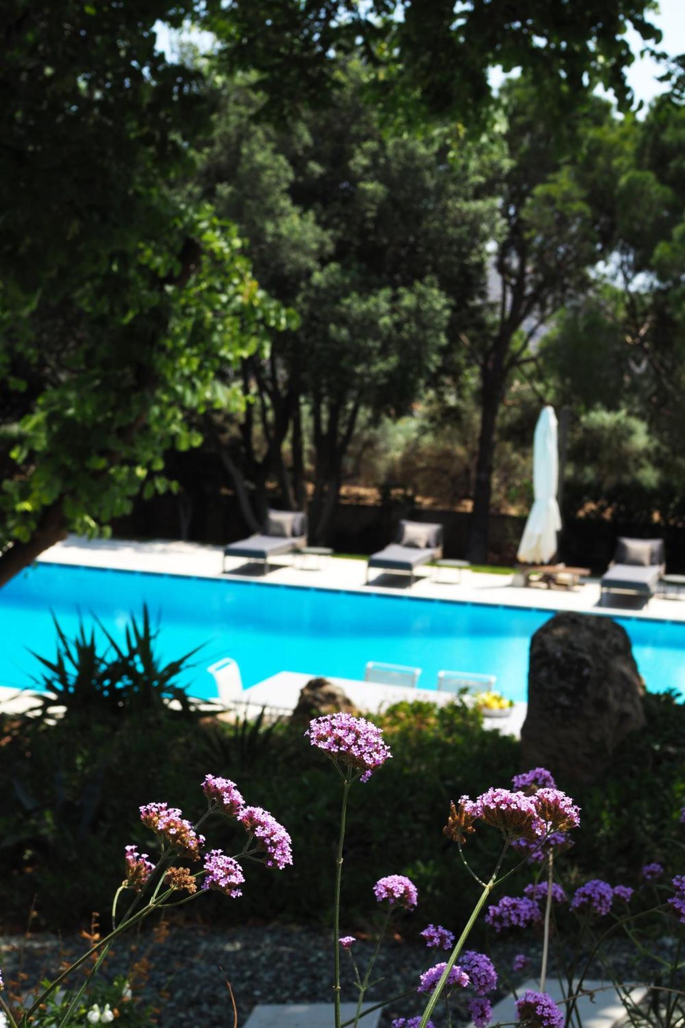 Villa Oasis With Large Pool Athenian Riviera Lagonissi Lagonísi Eksteriør bilde